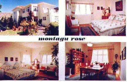 Montagu rose